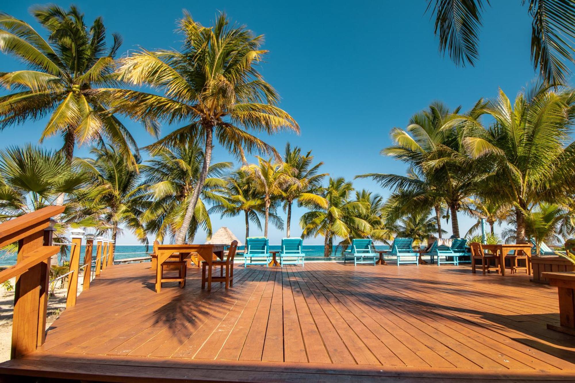 Beachside Villas Gold Standard Certified Placencia Room photo